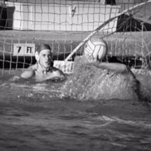 Meet your Posher, Quinn